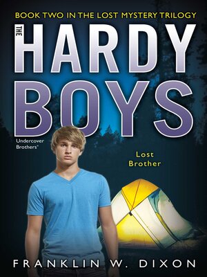 cover image of The Lost Brother